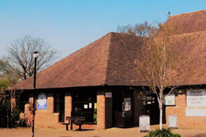 Colden Common School